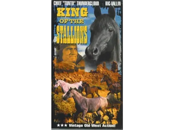 King of the Stallions