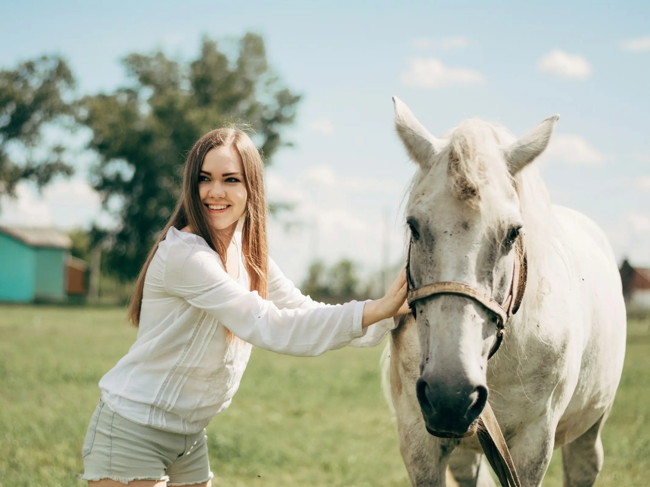 Kuznetsk Horse