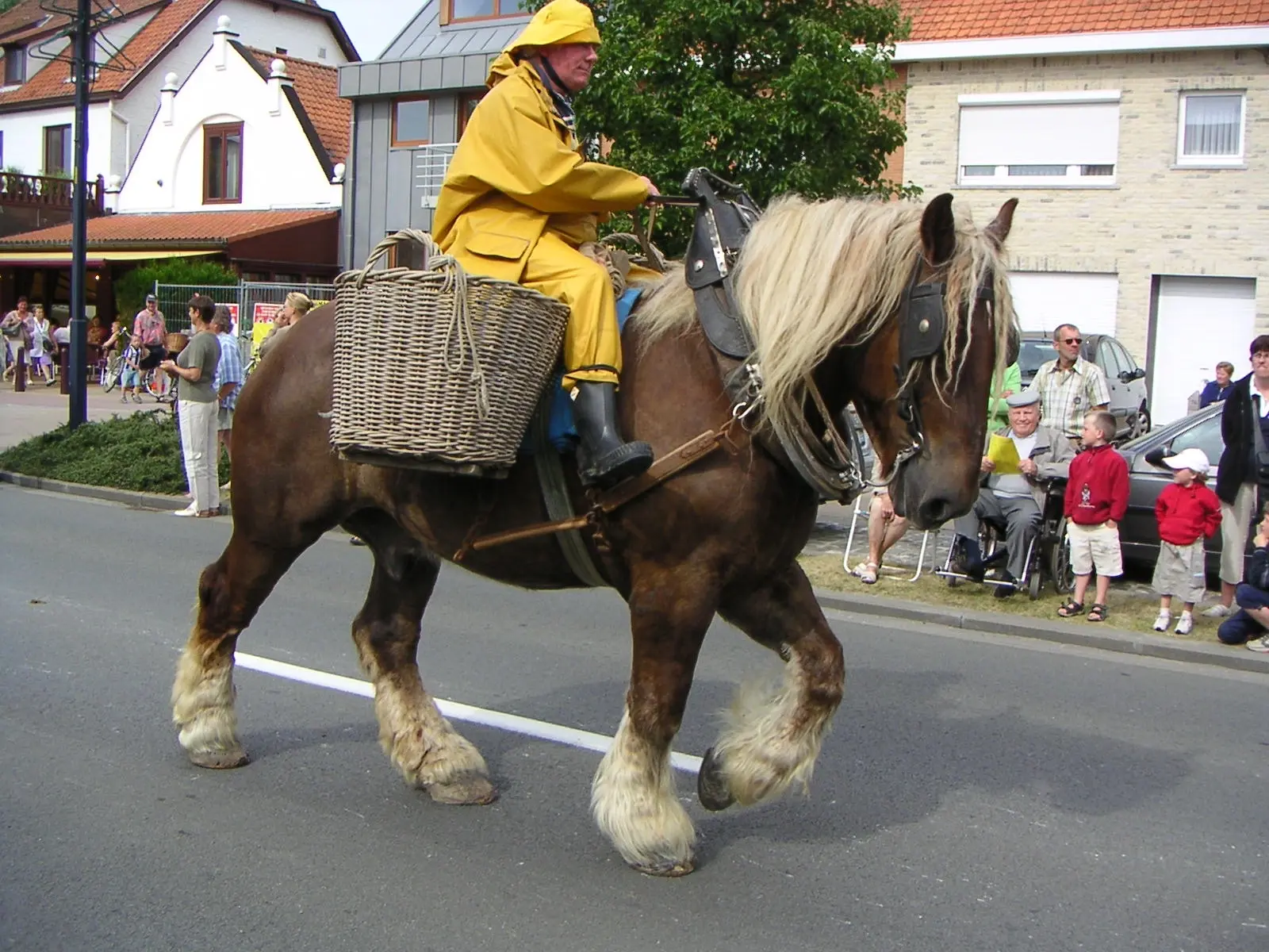 Liver flaxen horse