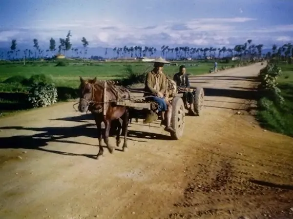 Luoping Horse
