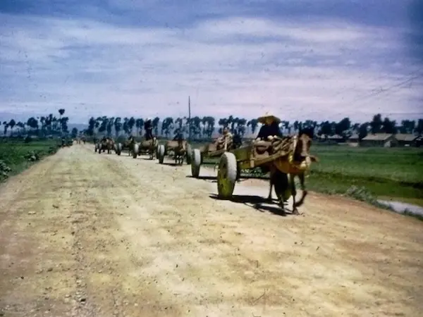 Luoping Horse