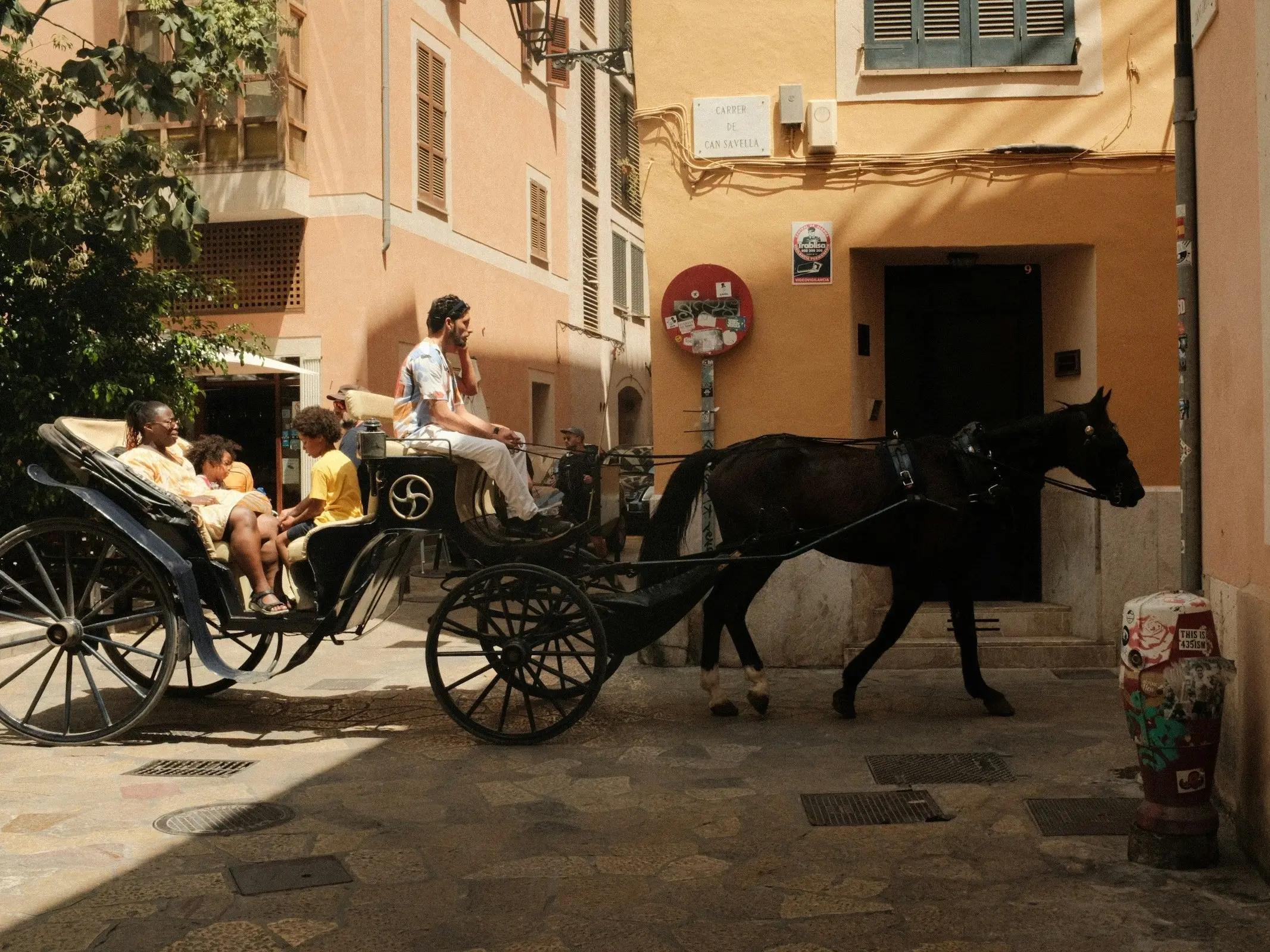 Mallorquin Horse