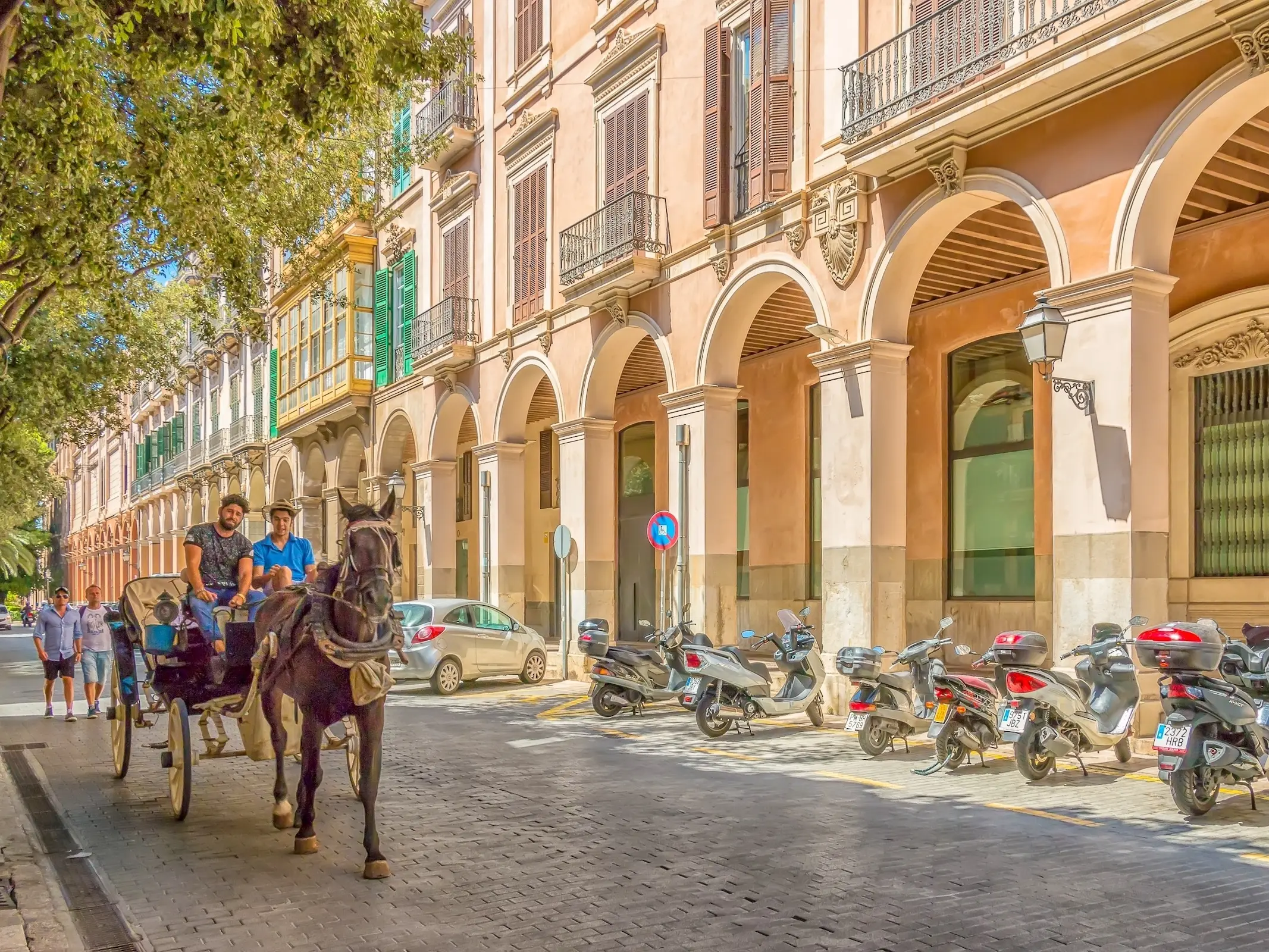 Mallorquin Horse