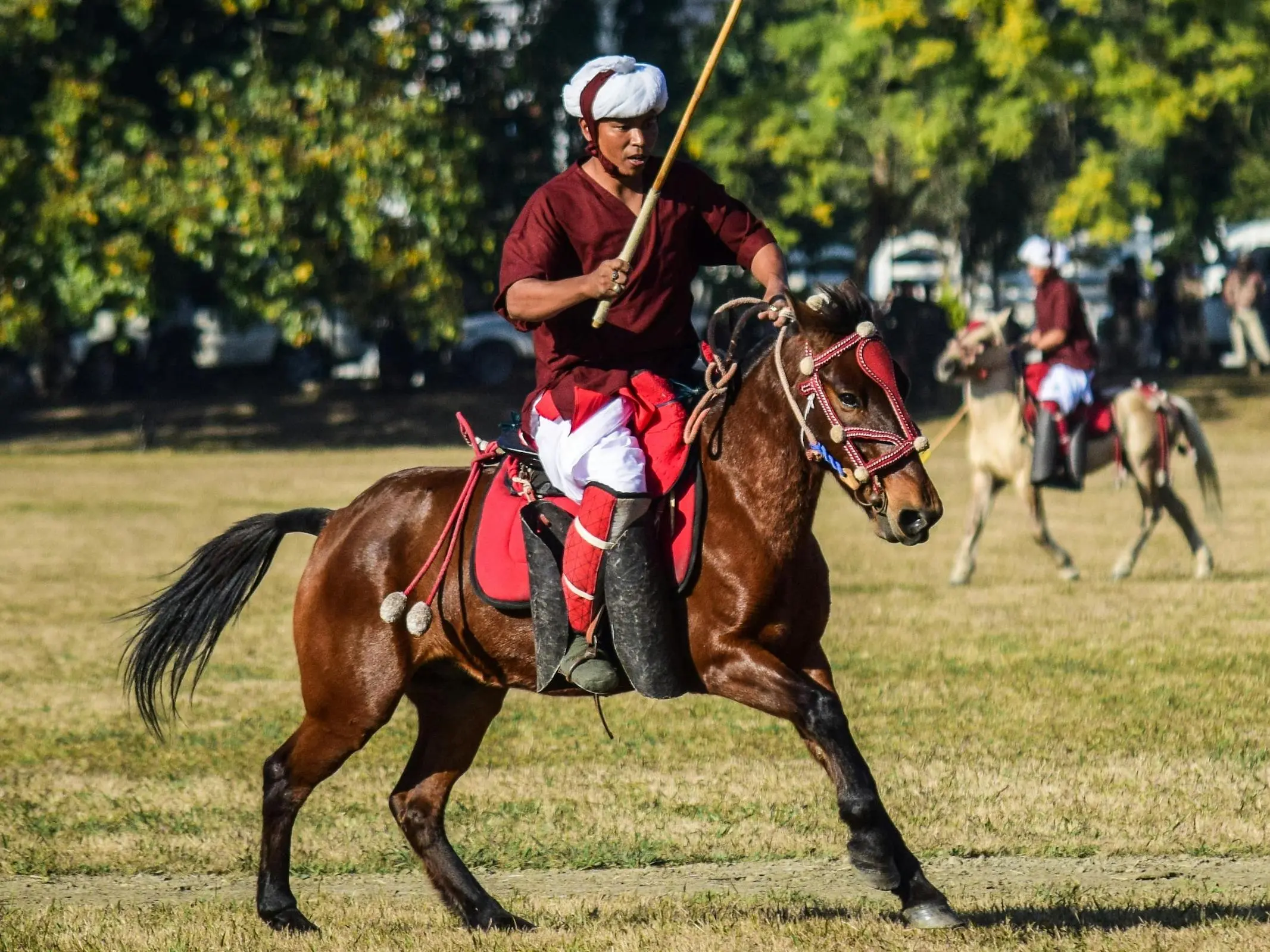 Manipuri Pony