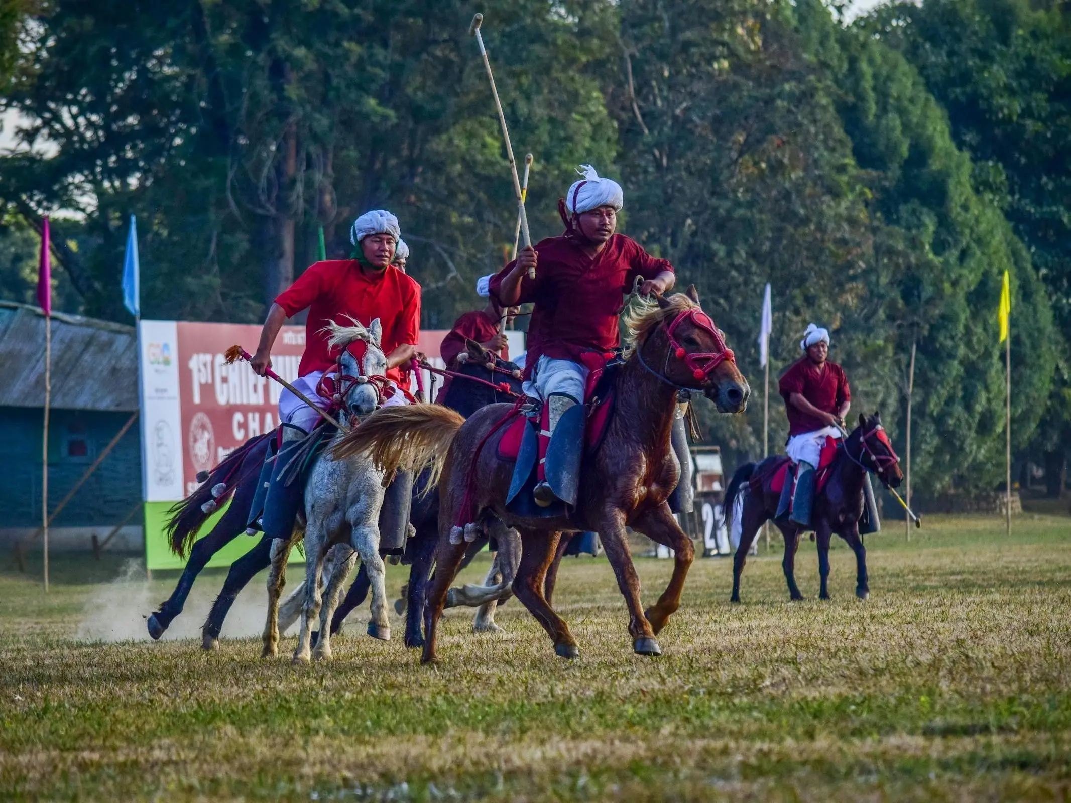 Manipuri Pony