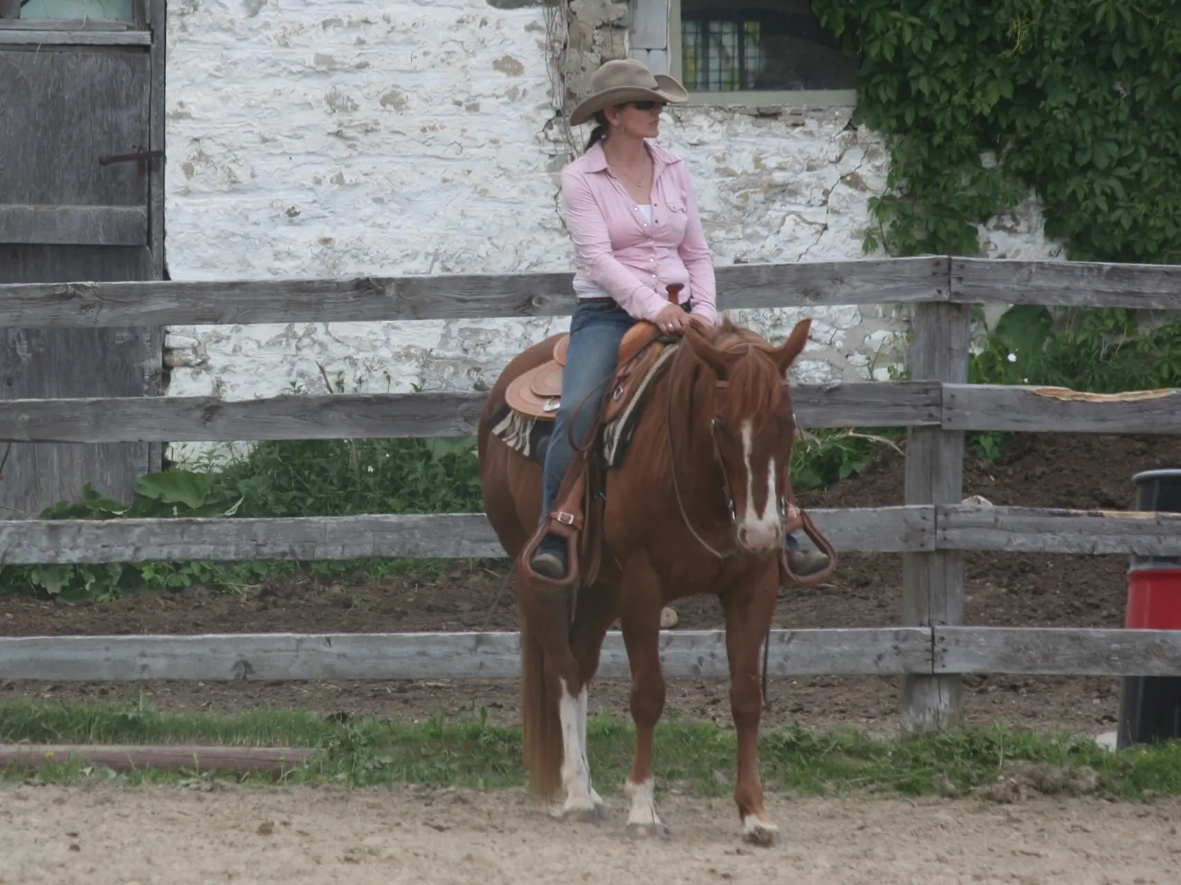 Horse with badger face