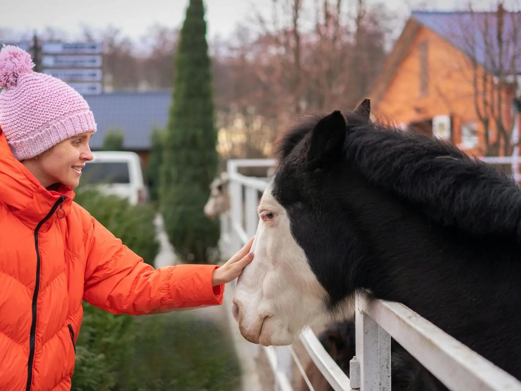 Bald faced horse