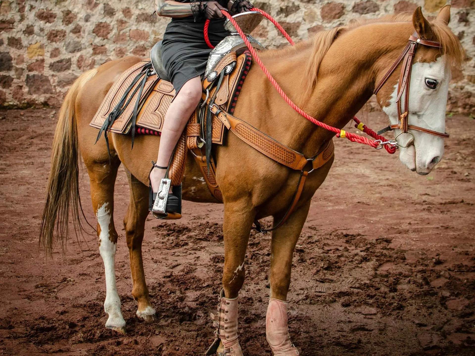 Bald faced horse