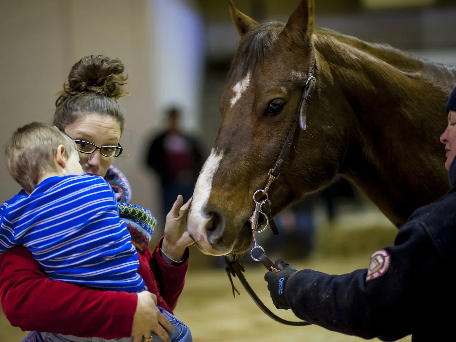 Horse with badger face