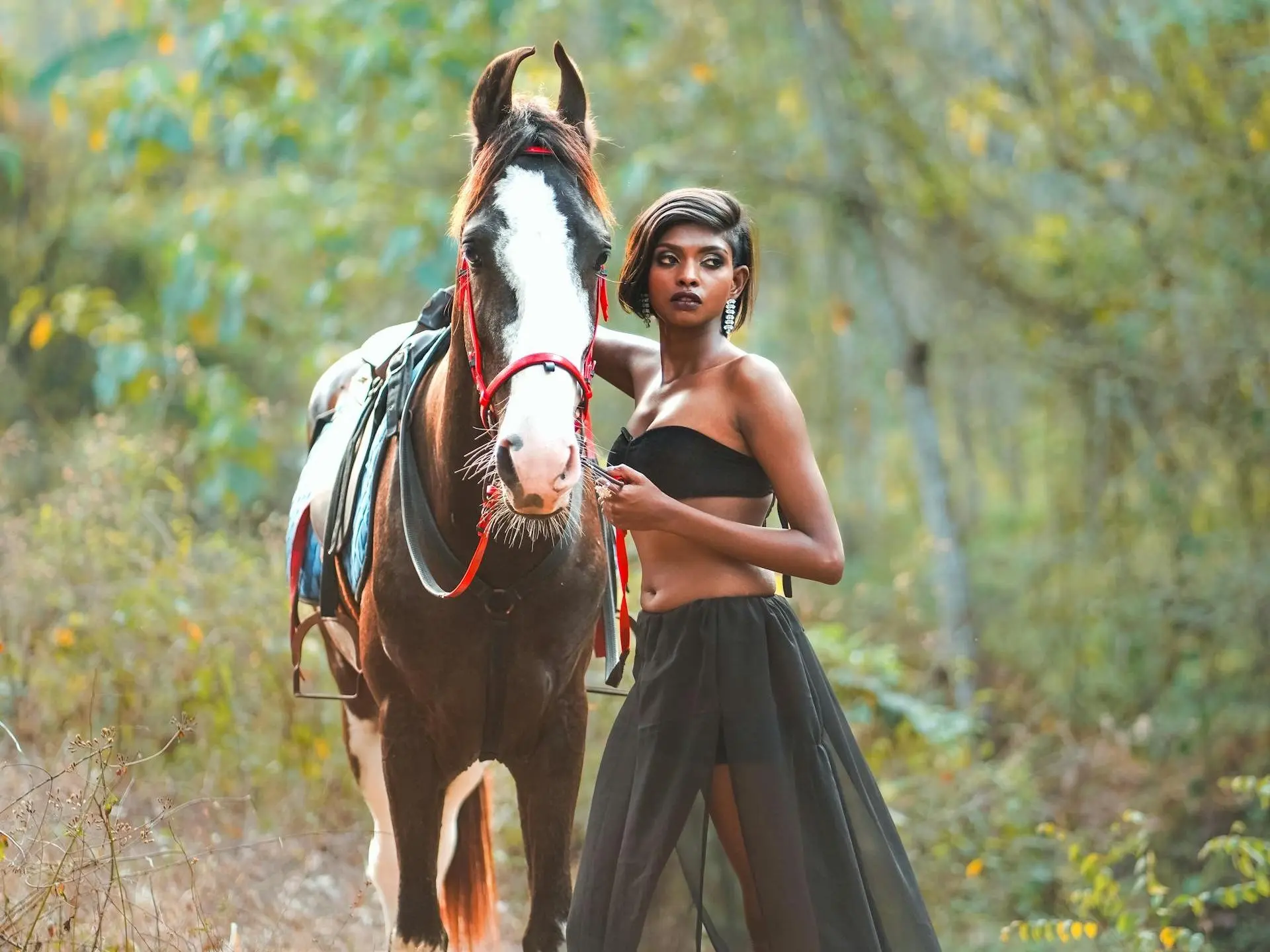 Marwari Horse