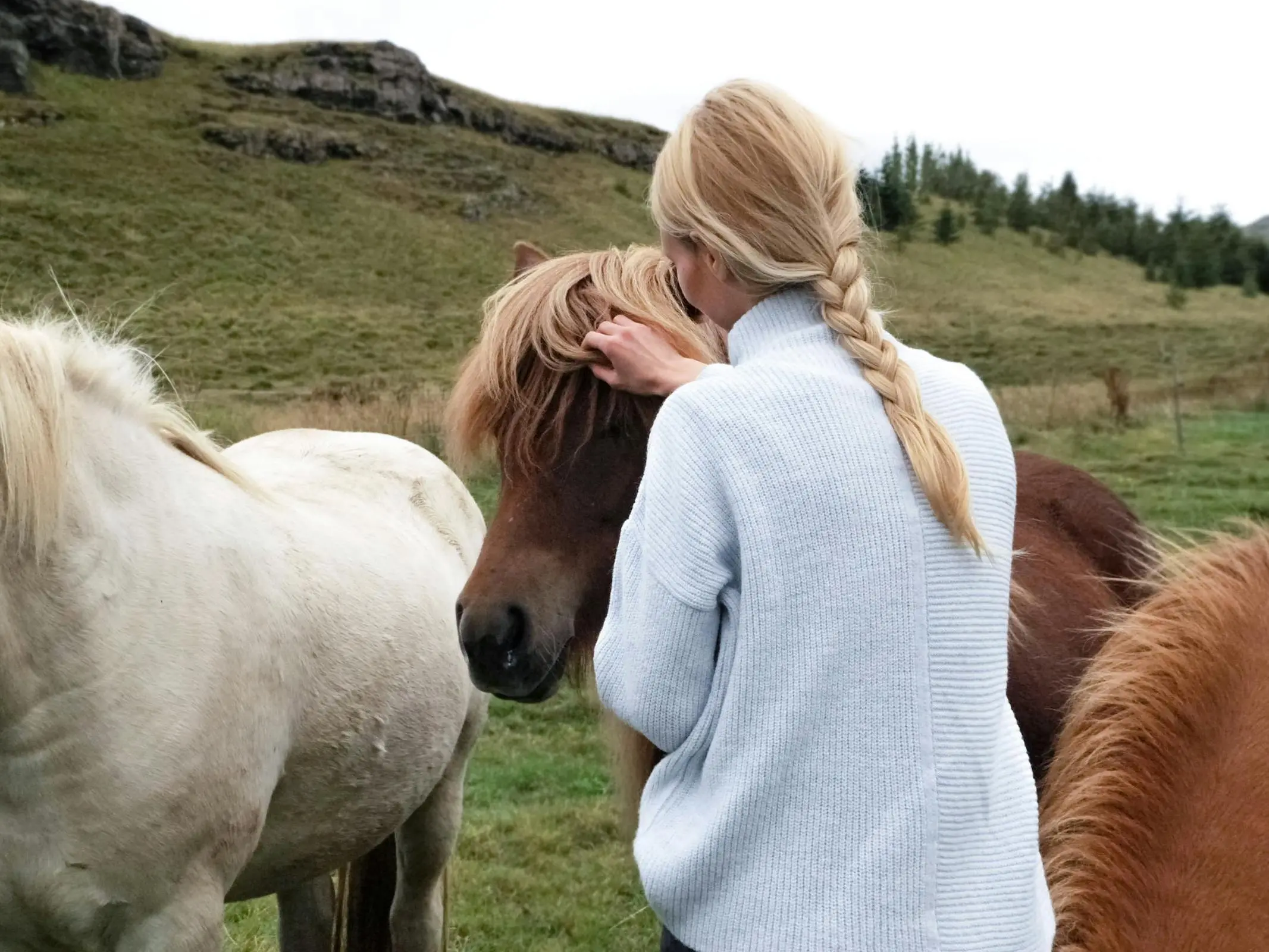 girl standing with a horse