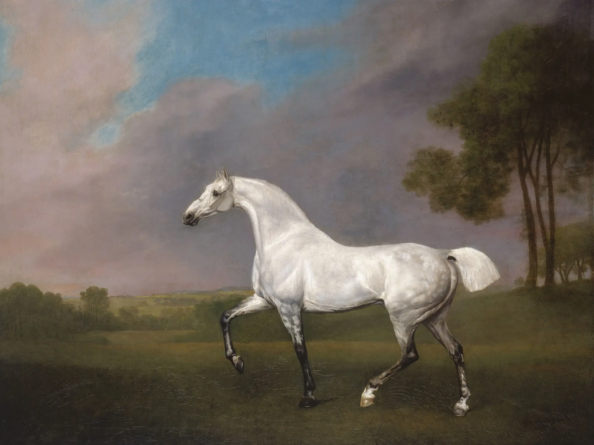woman painting a horse