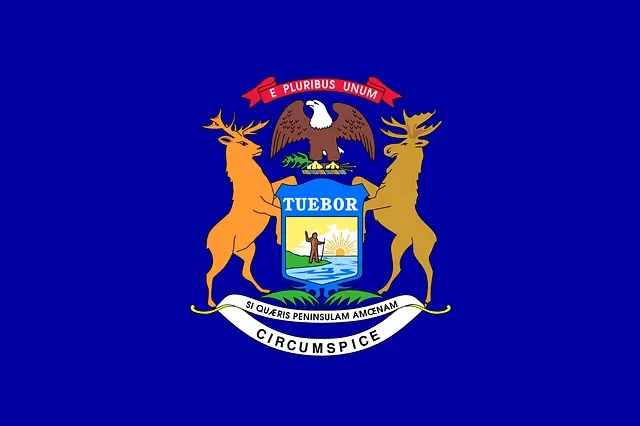 Michigan Flag