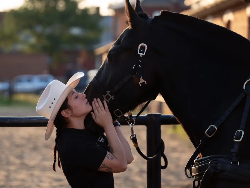 Woman cuddling her horse