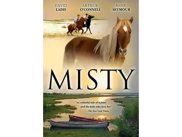 Misty (of Chincoteague)