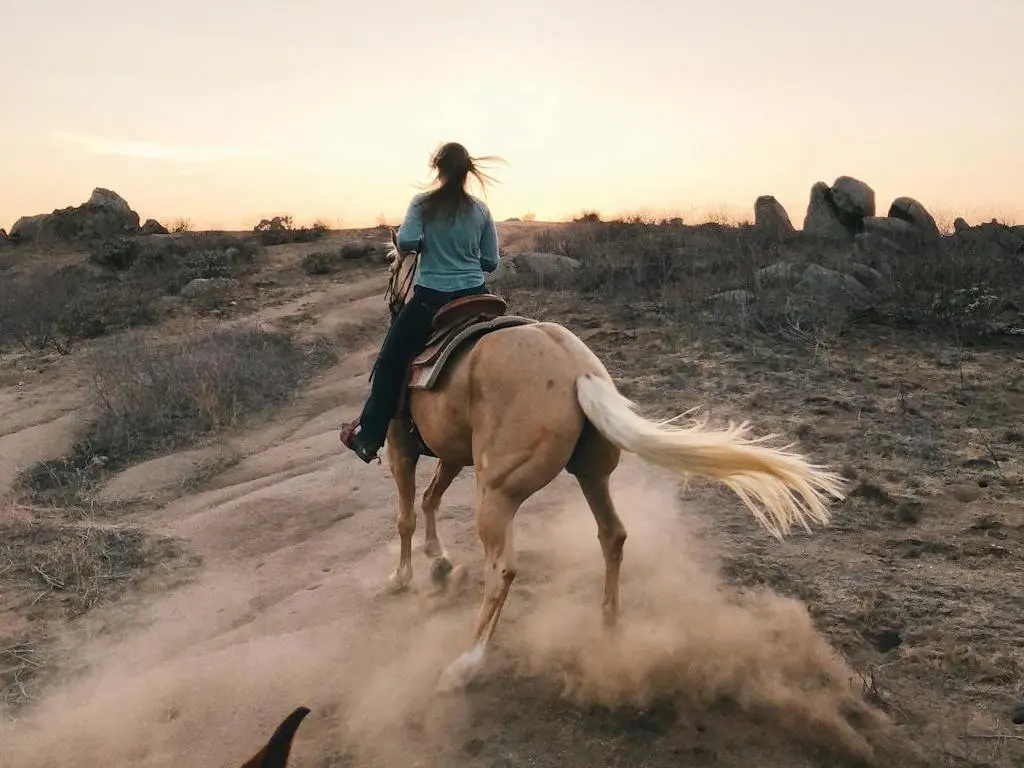 Woman on a horse in the desert