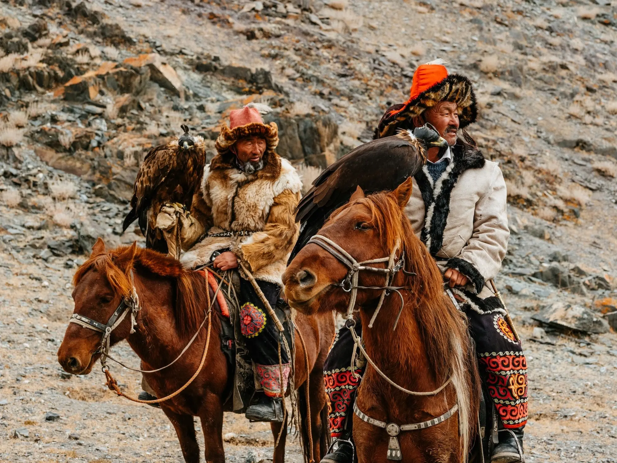 Mongolian Horse