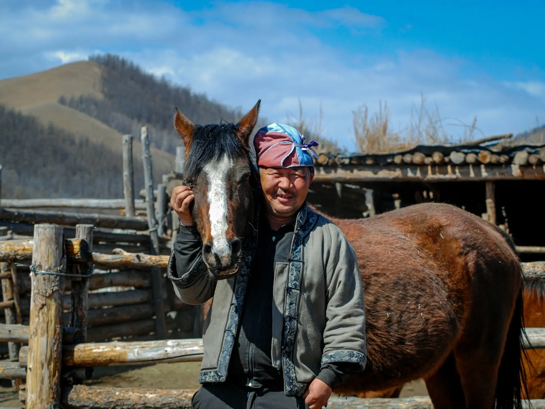 Mongolian Horse