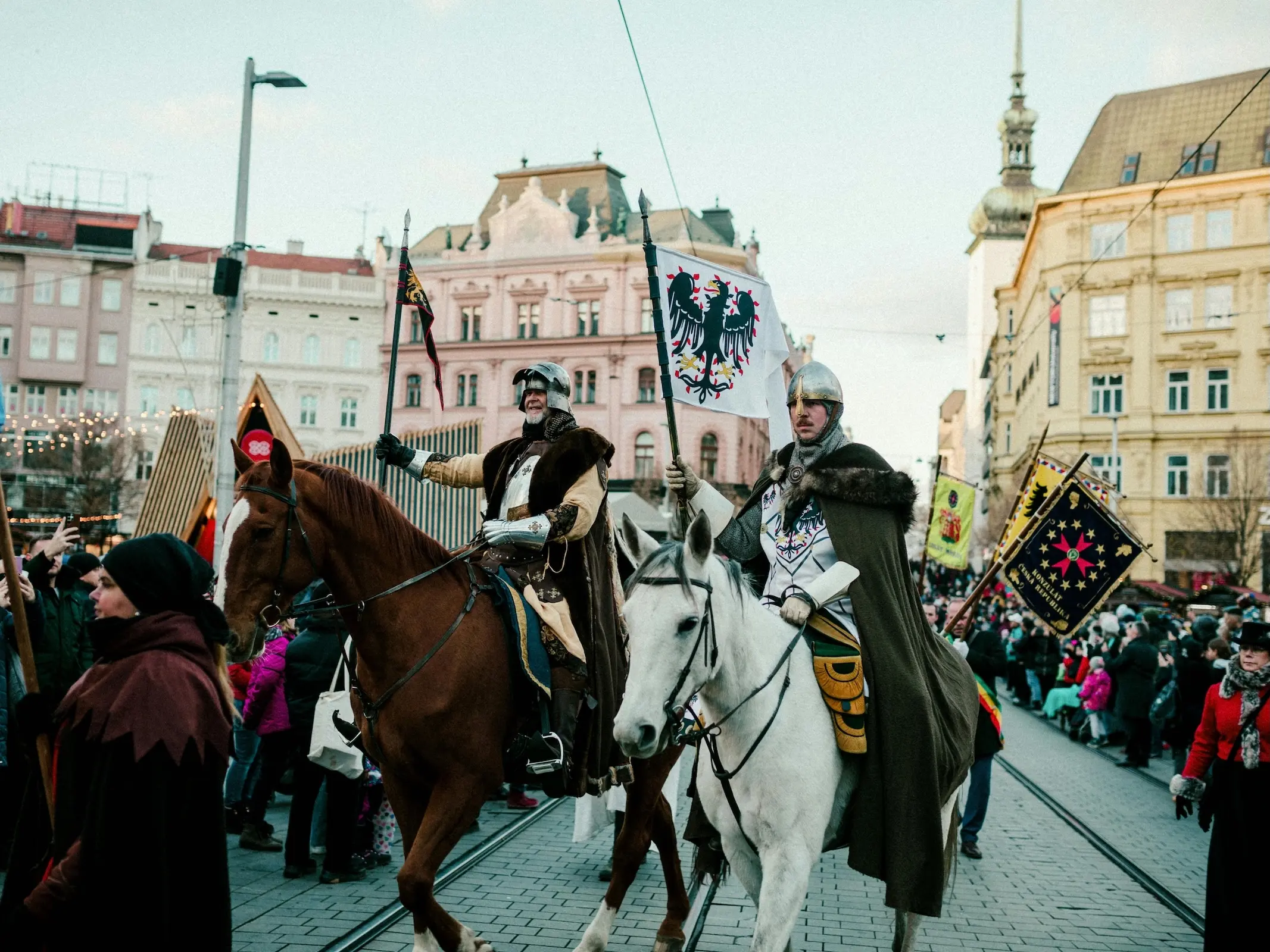Moravian Warmblood Horse