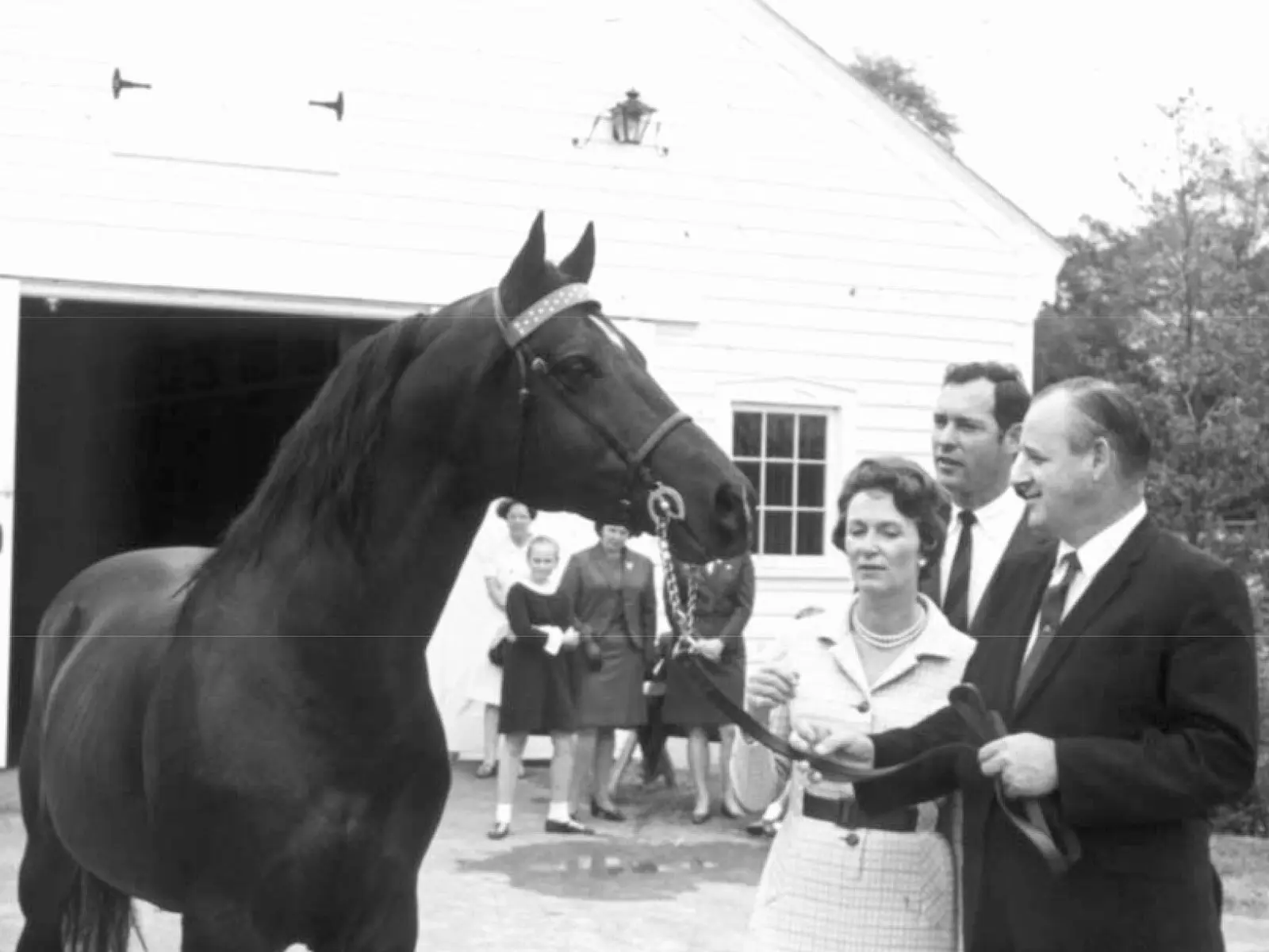 National Museum of the Morgan Horse