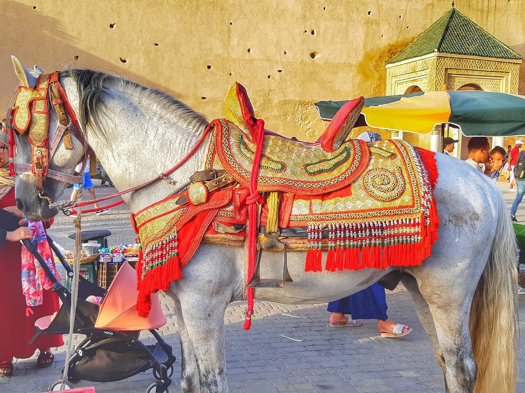 A horse with beautiful, ornate saddle and bridle