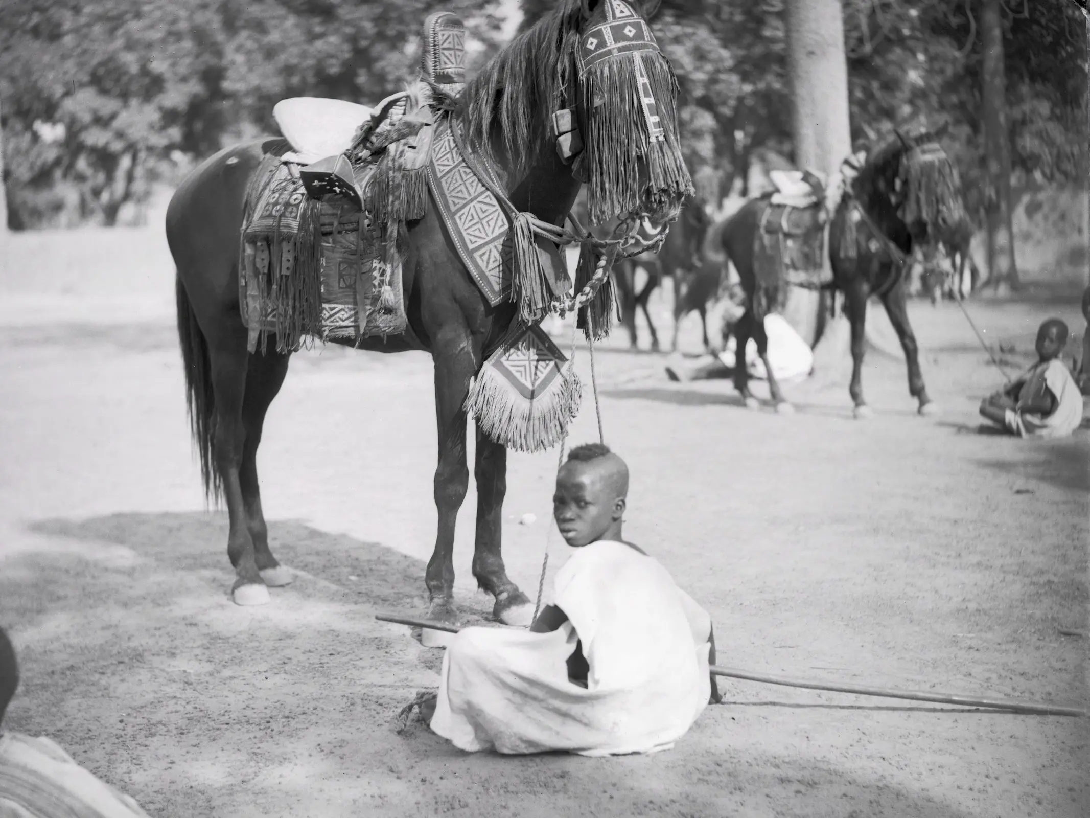 Mossi Horse