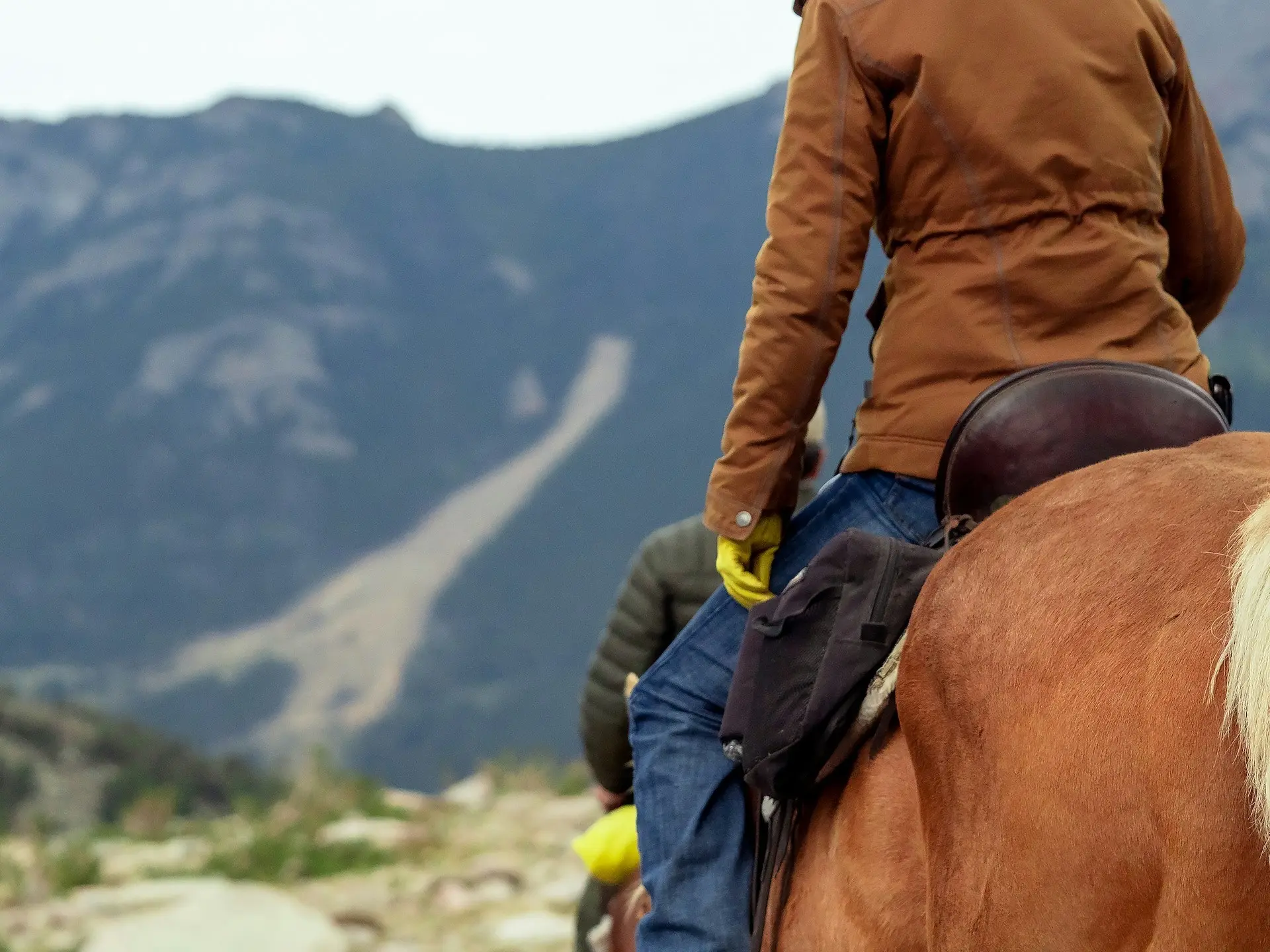 people riding horses on a trail