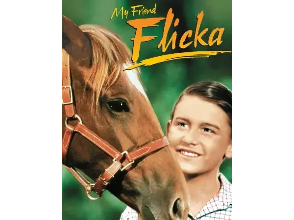 My Friend Flicka