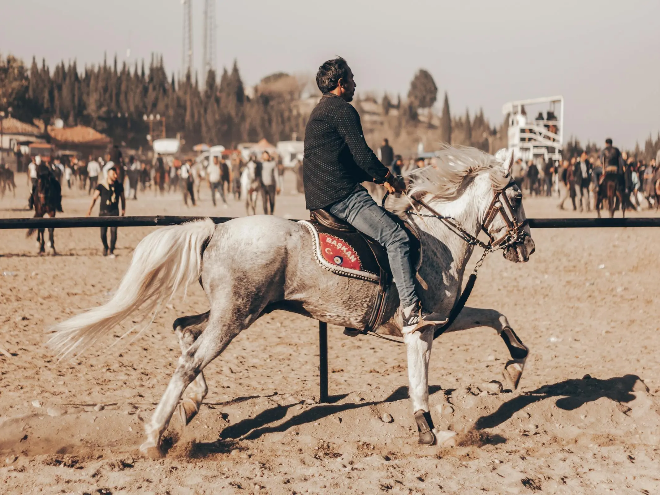 Mytilene Horse