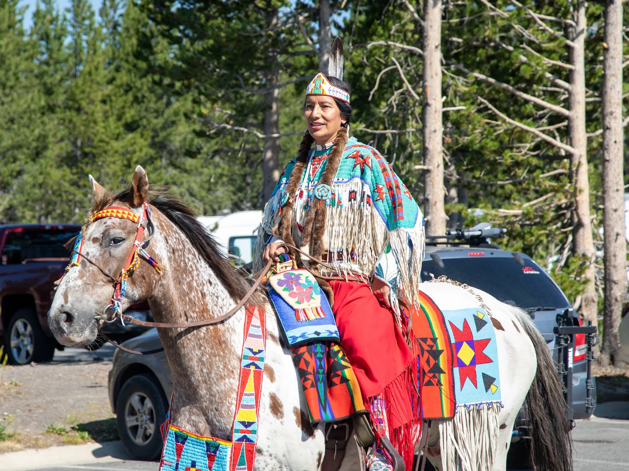 Nez Perce Horse