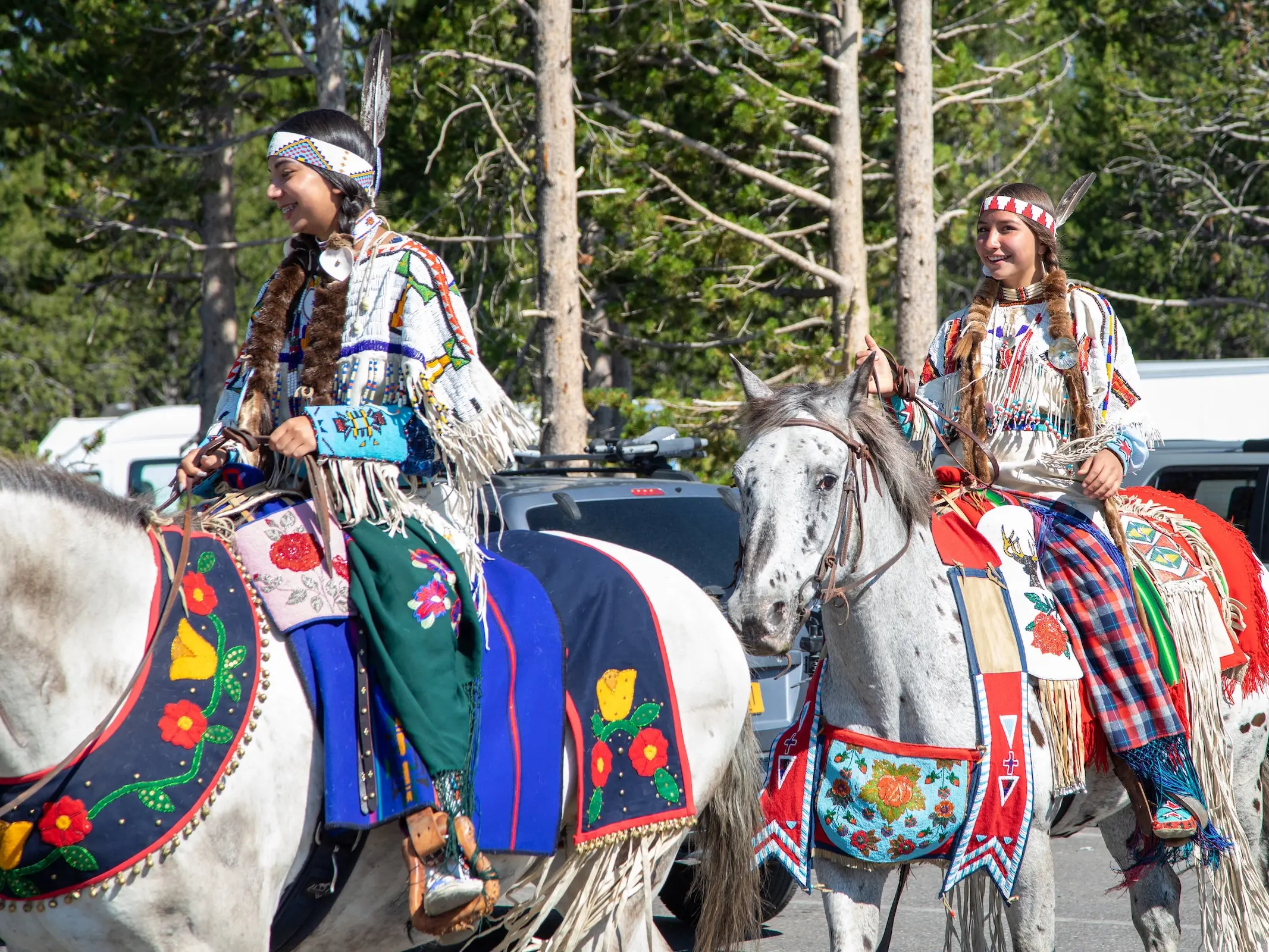 Nez Perce Horse