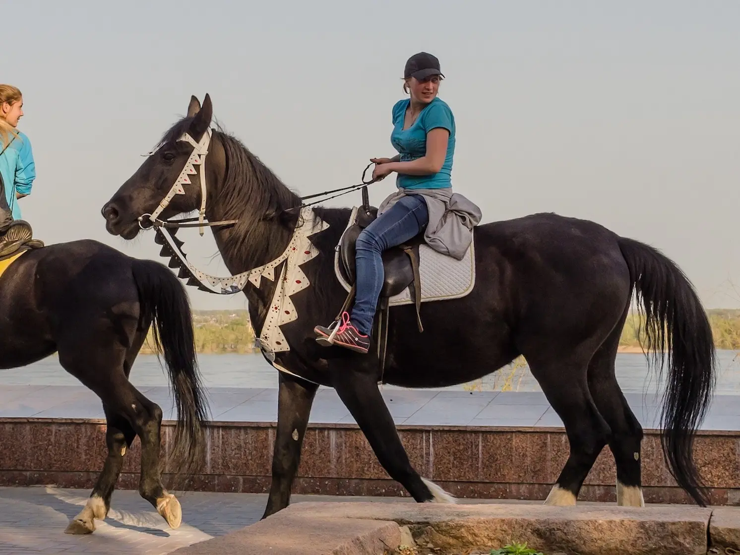 Non-fading black horse