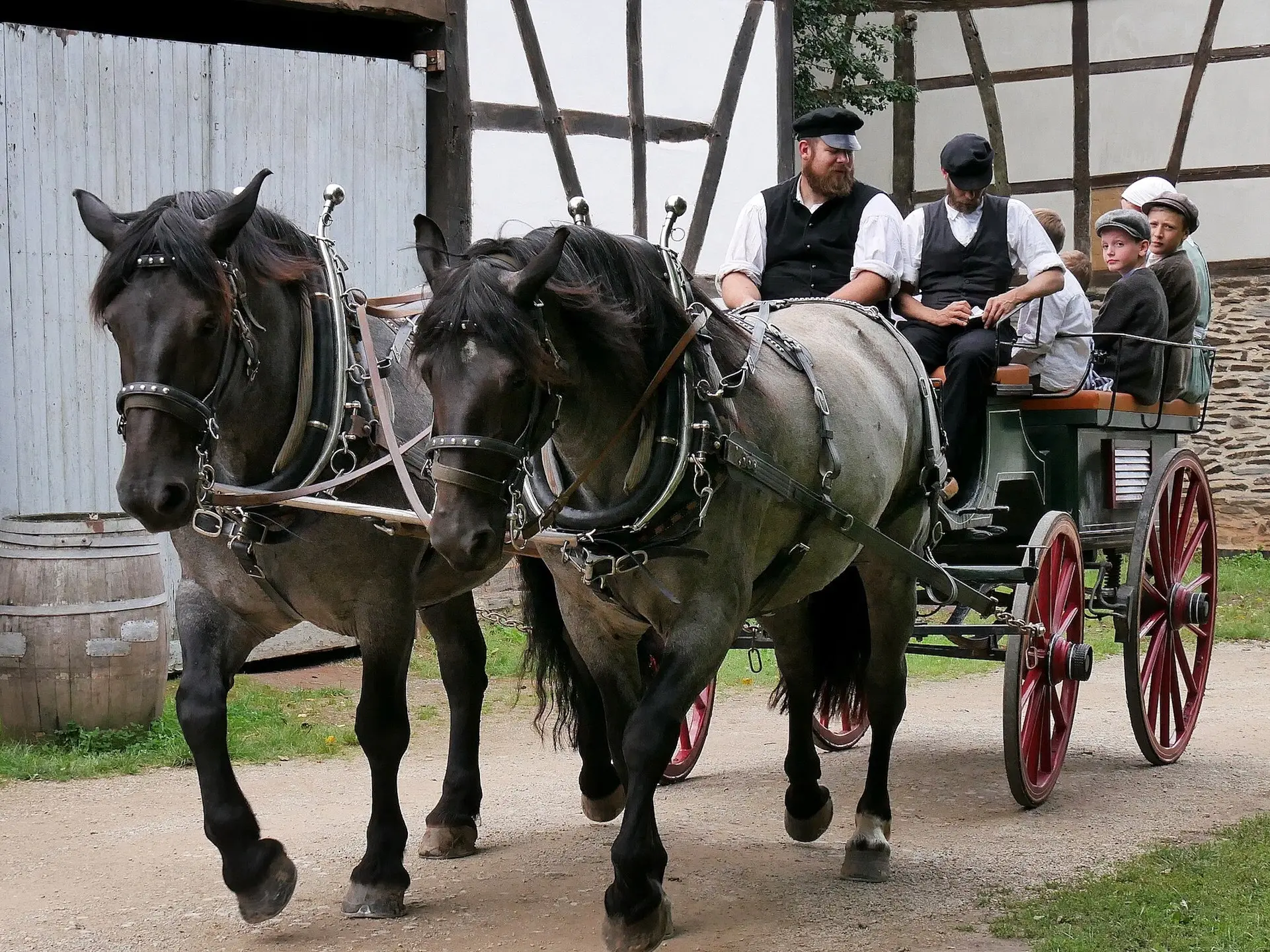 Noriker Horse