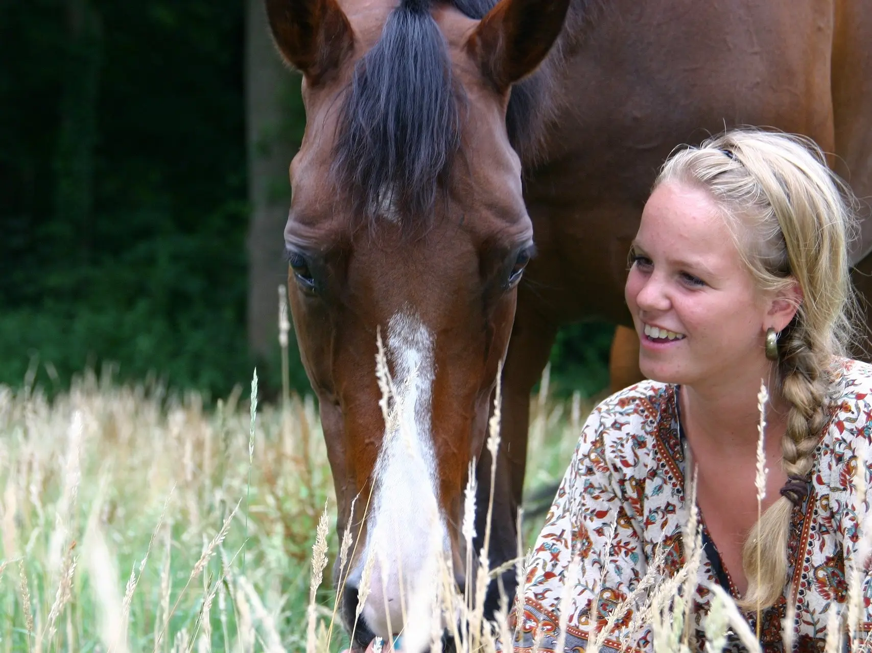 Horse with badger face