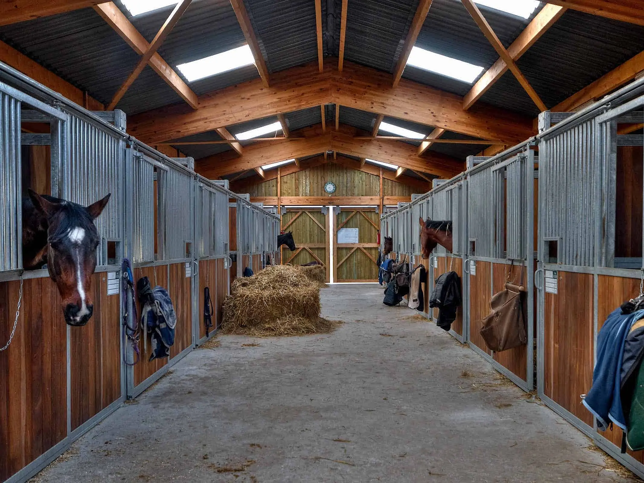 Tidy Barn