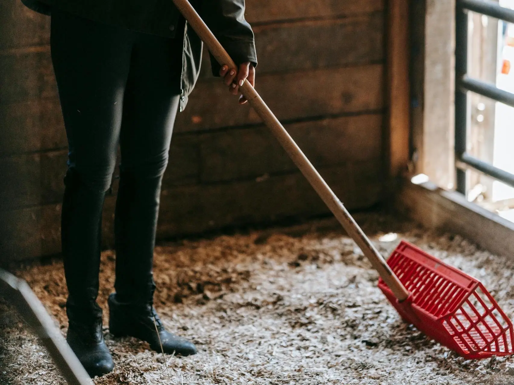 Woman cleaning a stall