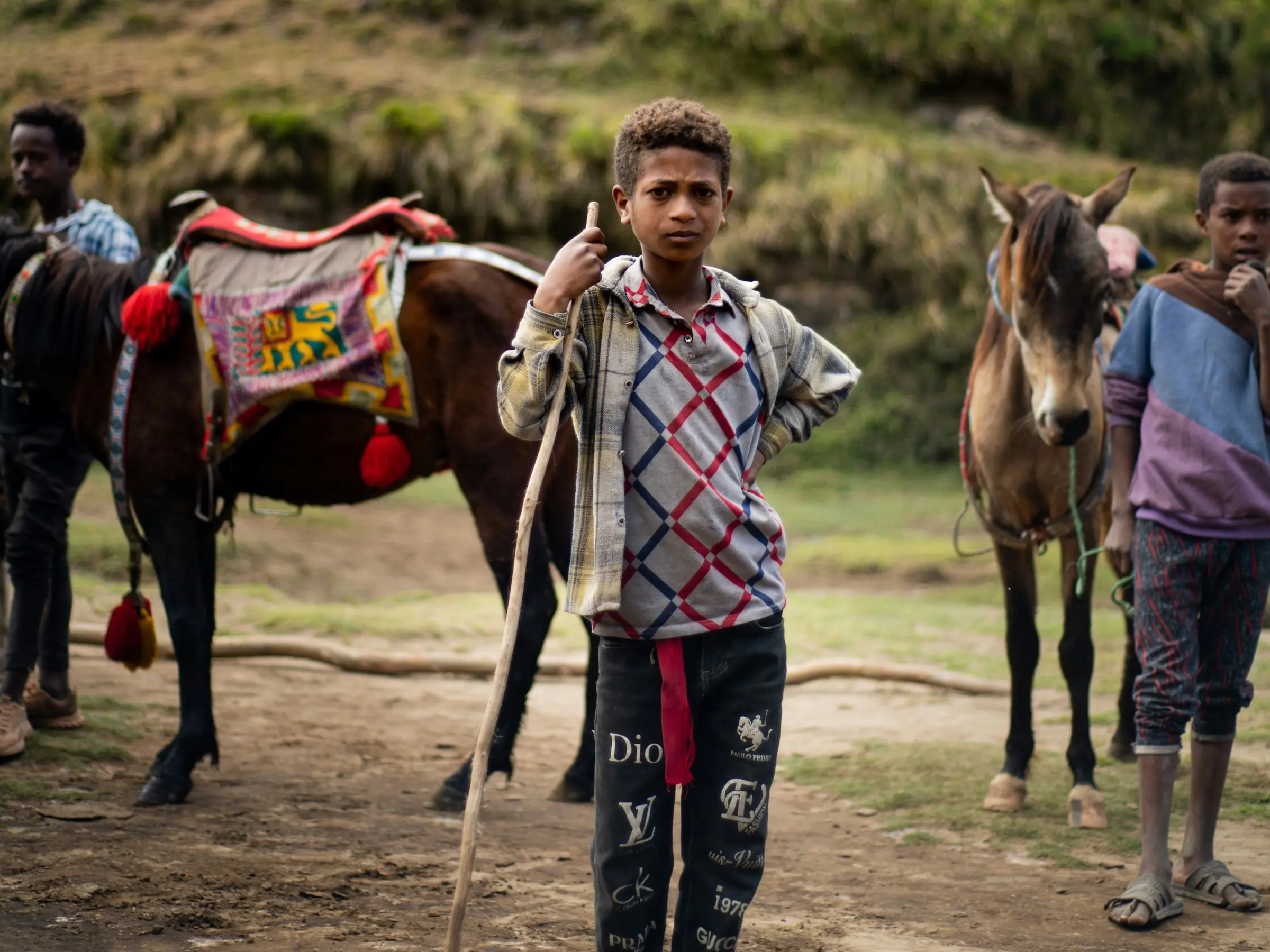 Ethiopian boy with horses