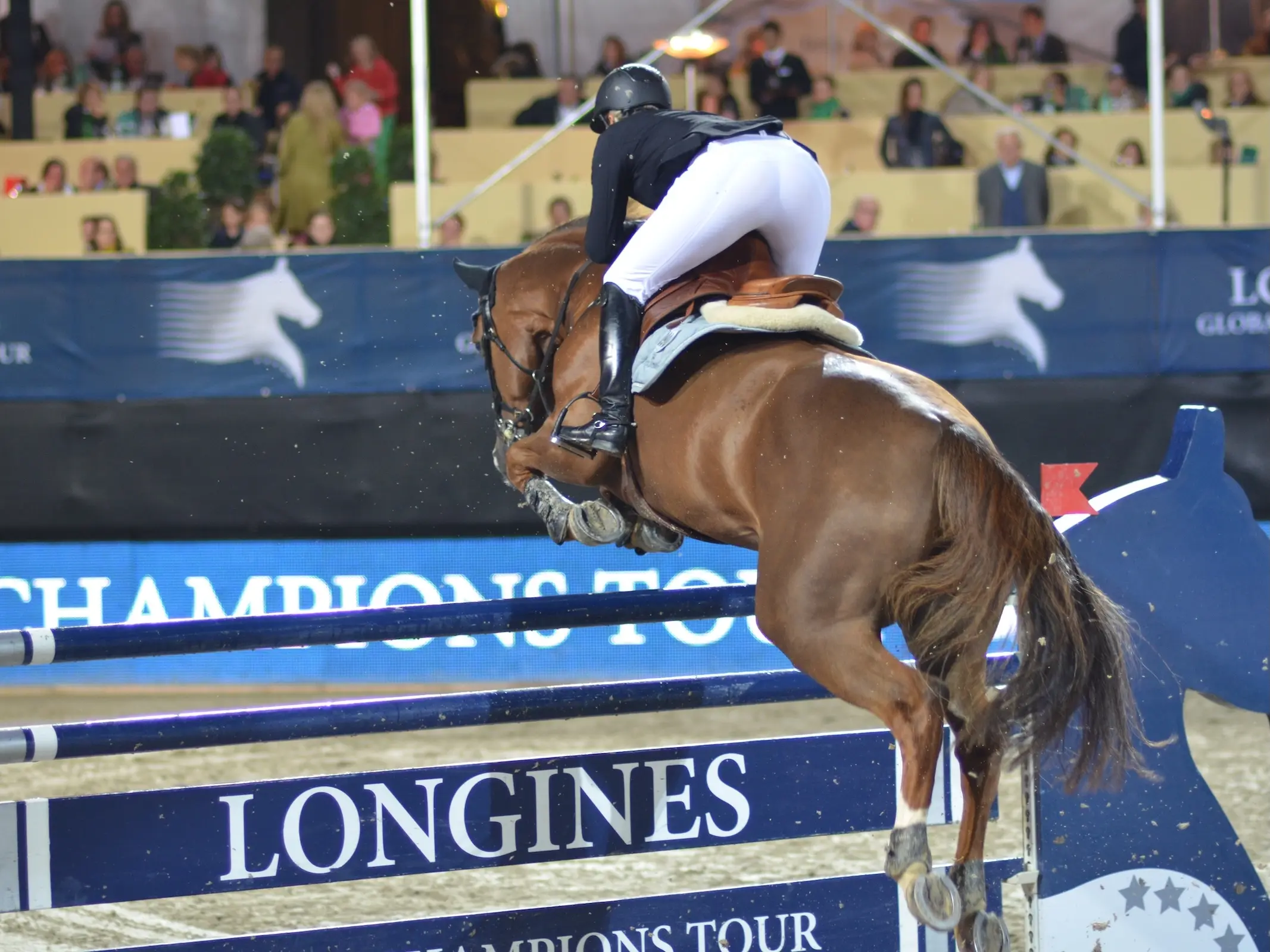 Horse jumping a fence