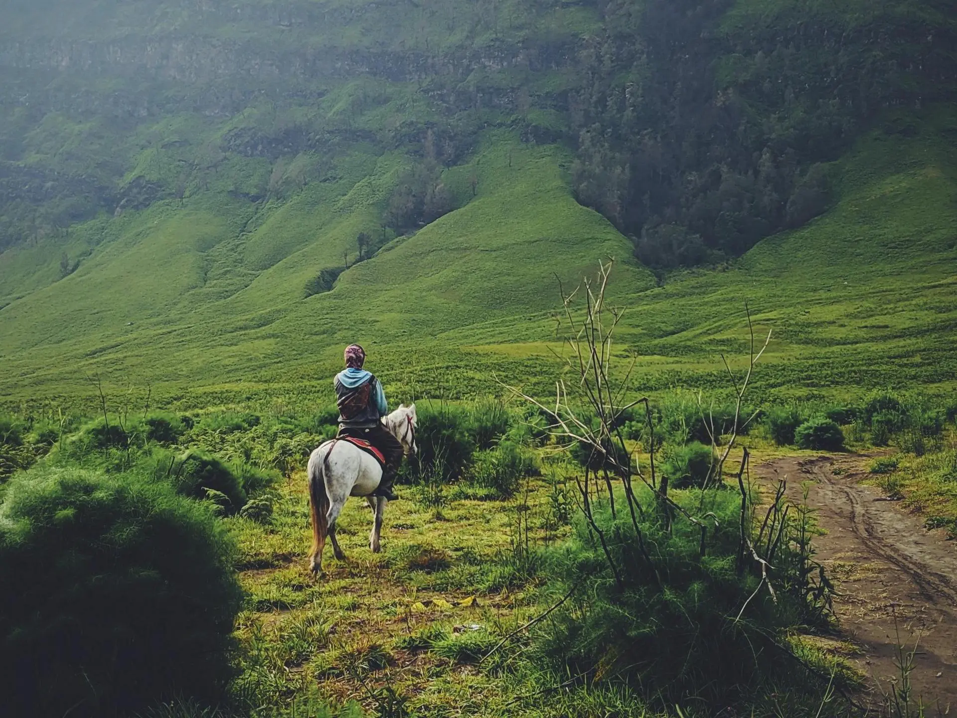 Padang Pony