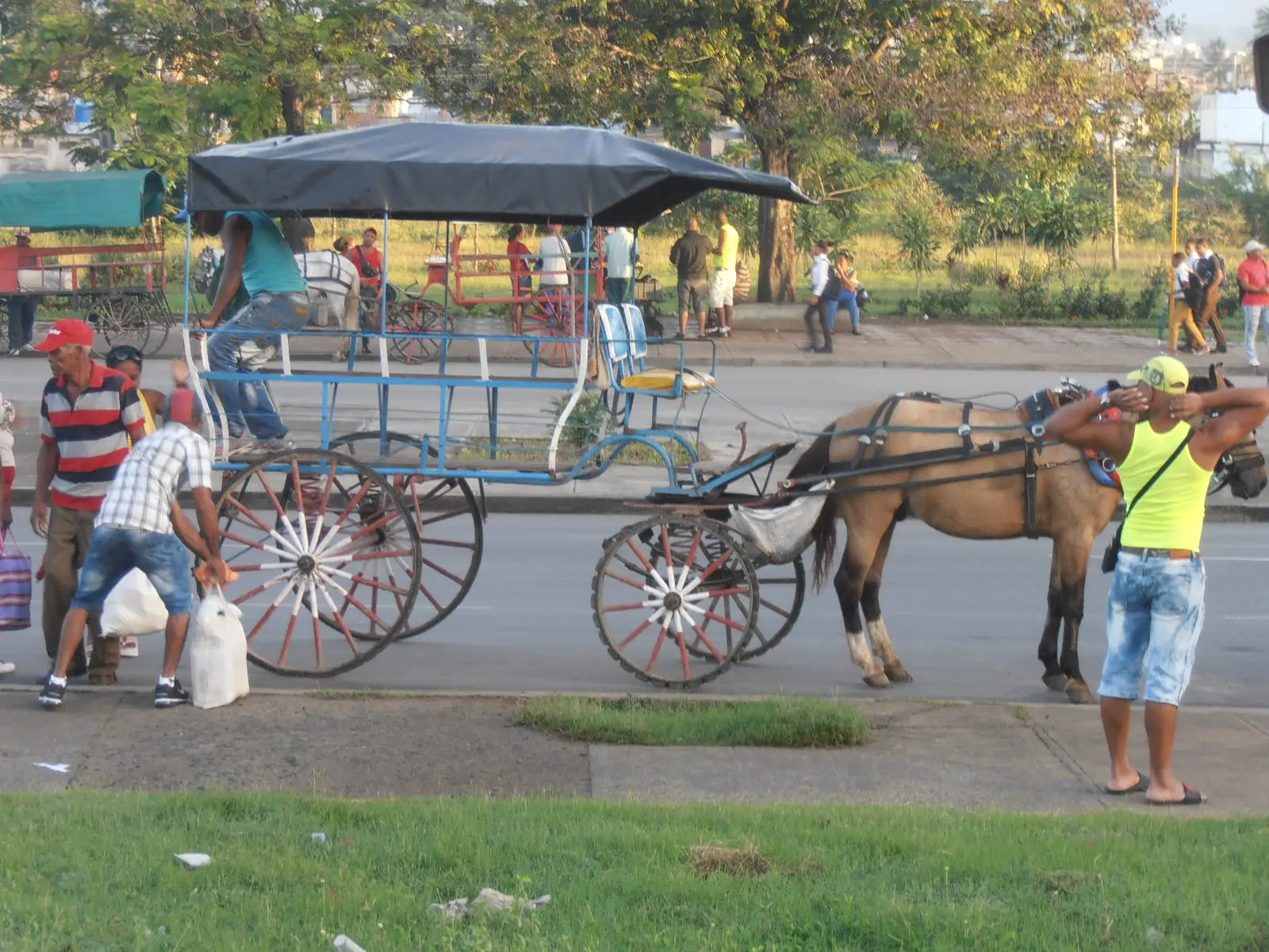 Patibarcina Horse