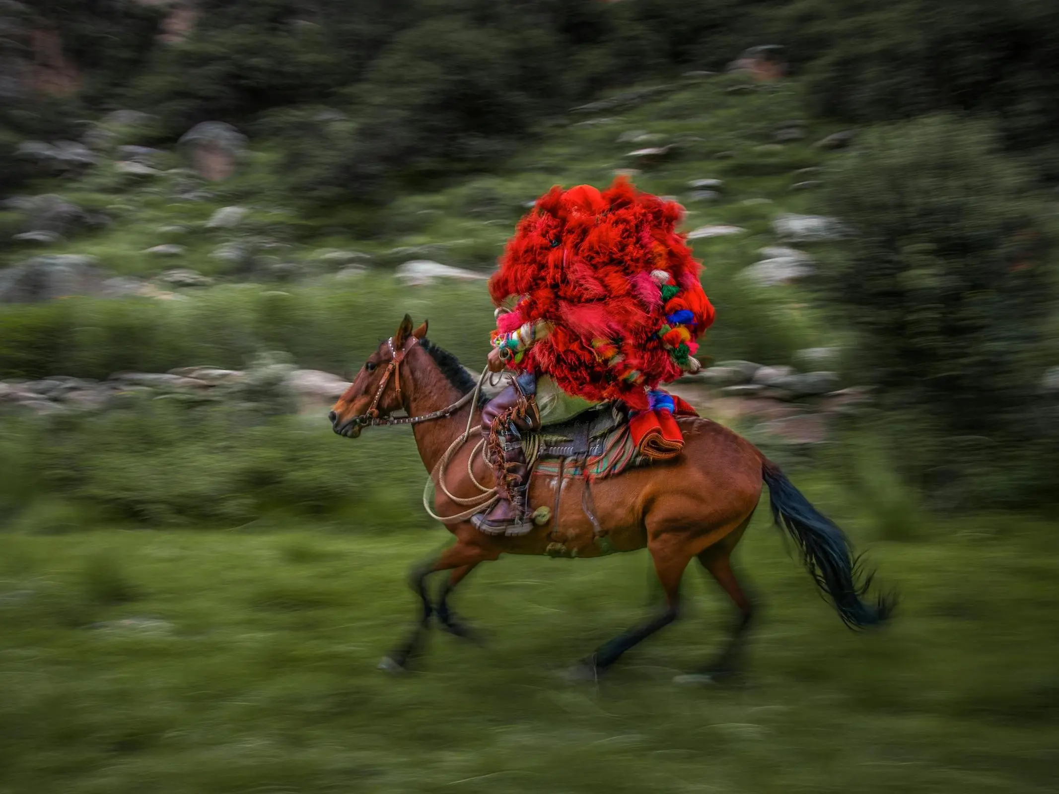 Peruvian Paso