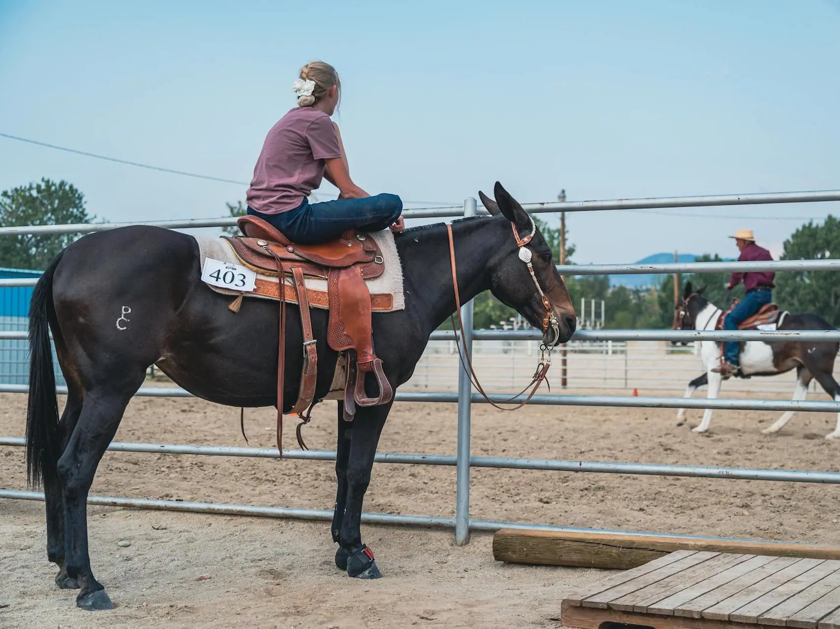 Woman sitting outside a show ring on a mule