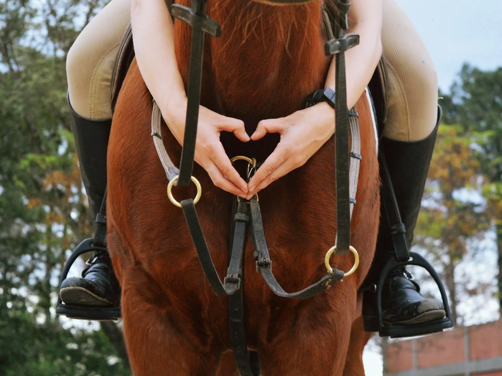 Woman making a heart with her hands in front of a horse