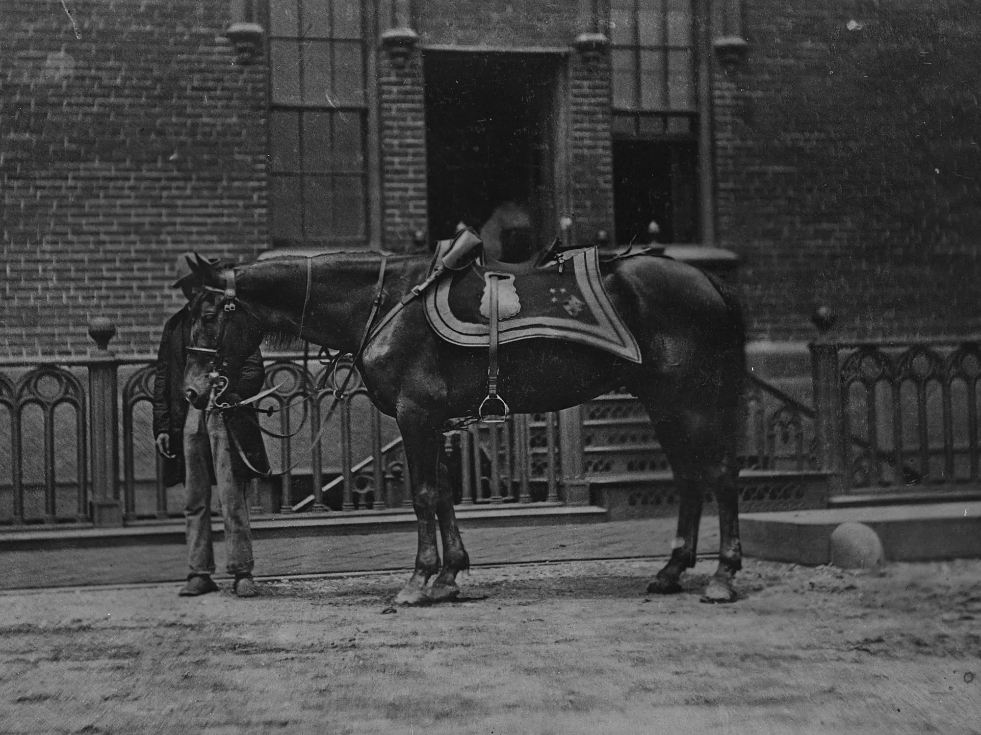 Horse standing in front of a building with a man