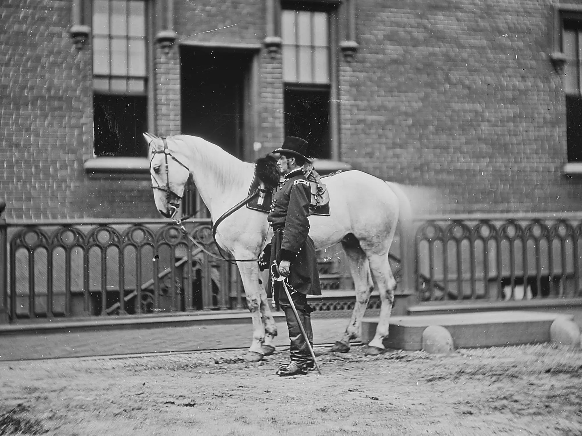 Man standing next to a horse