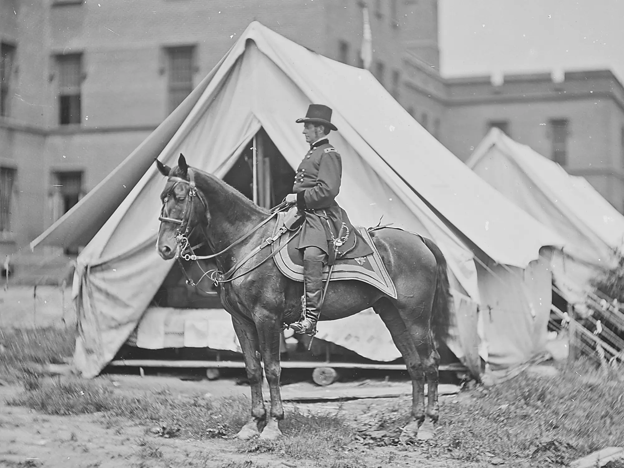 Man mounted on a horse