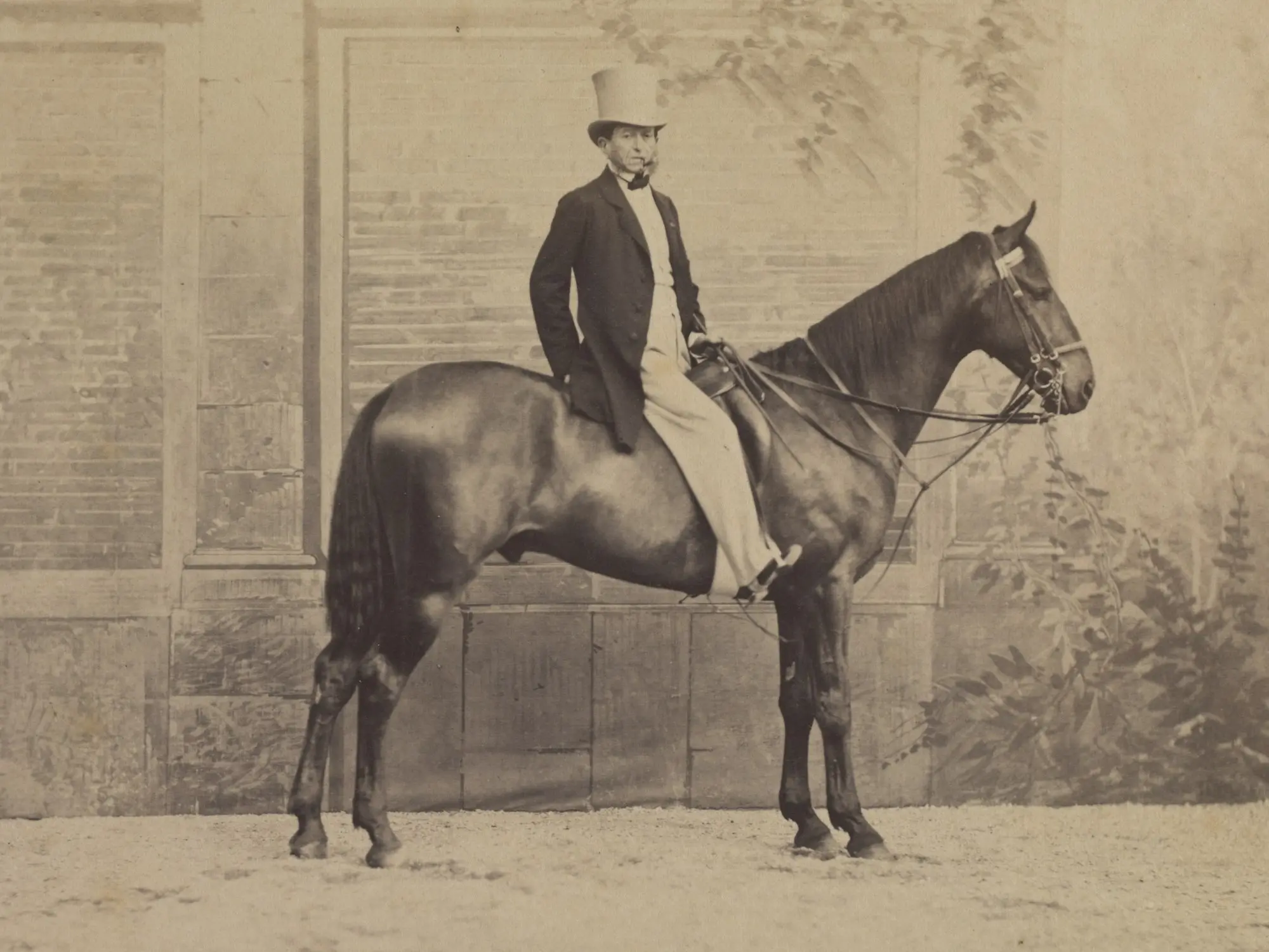 Man sitting on a standing horse