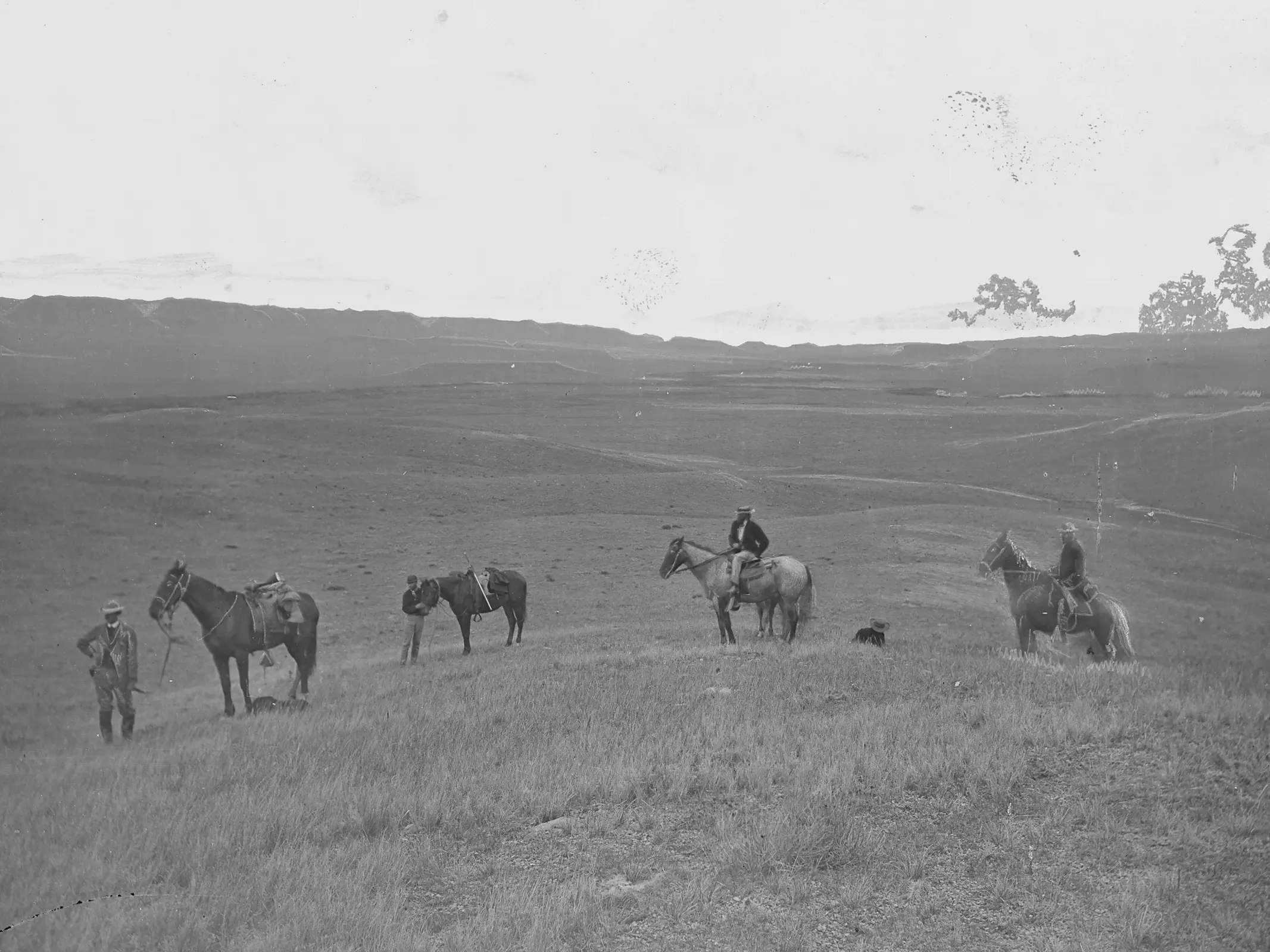 People on a hill with horses