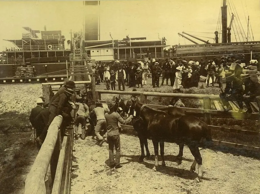 Horses being loaded onto a boat