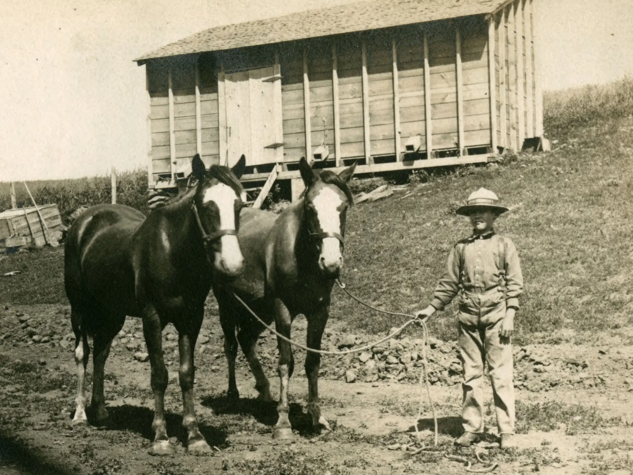 Man standing with a team of horses